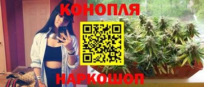 трава Нальчик