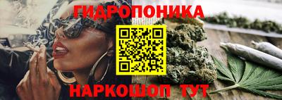 Альфа ПВП Нарткала
