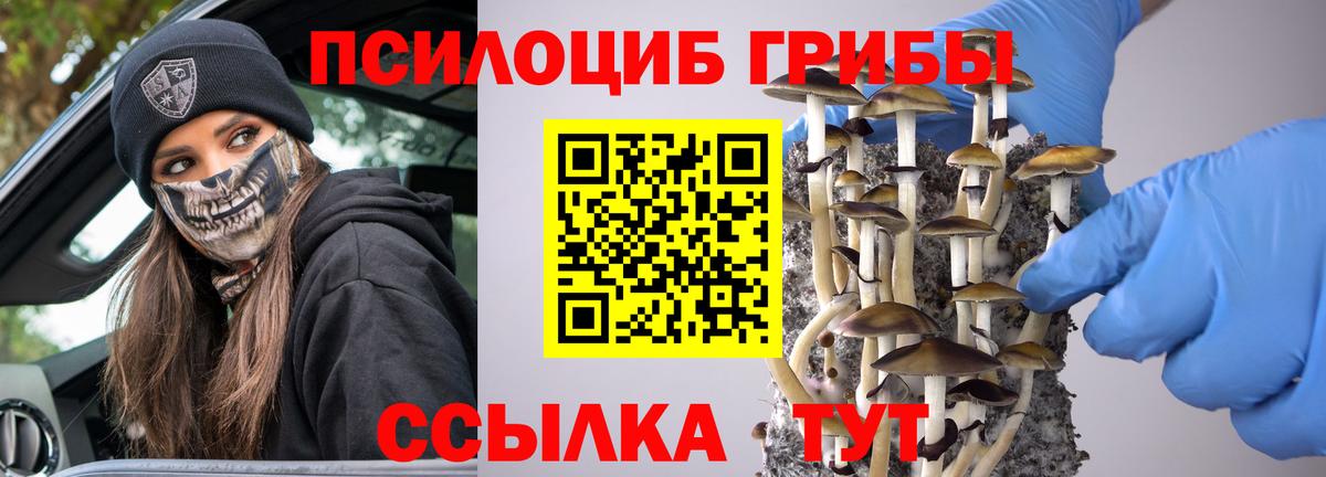 Галлюциногенные грибы Cubensis  Вход с VPN  Урай 